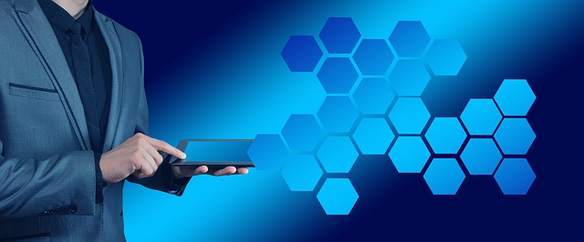 Virtuální sídlo společnosti